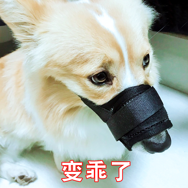 Dog mouth cover anti-bite anti-barking anti-barking device Teddy supplies small and medium-sized puppies pet duck mouth cover mask