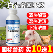 Pulsatilla oral liquid veterinary medicine Pulsatilla Liangxue Chongxue Zhixu diarrhea pig cattle and sheep chicken medicine Escherichia coli diarrhea abdominal dysentery