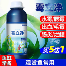 Mildew net fish medicine Rotten bleeding Aquarium rotten gill print white hair disease Water mold water mold net turtle medicine