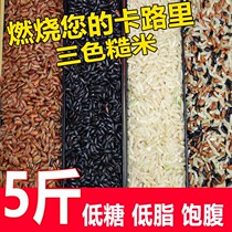 Three-color brown rice 1-5 pounds of whole grains Brown rice Fitness fat reduction whole grains Germ rice Northeast brown rice
