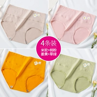 6107 метров верблюда+персиковой порошок+имбирь+трава зеленый