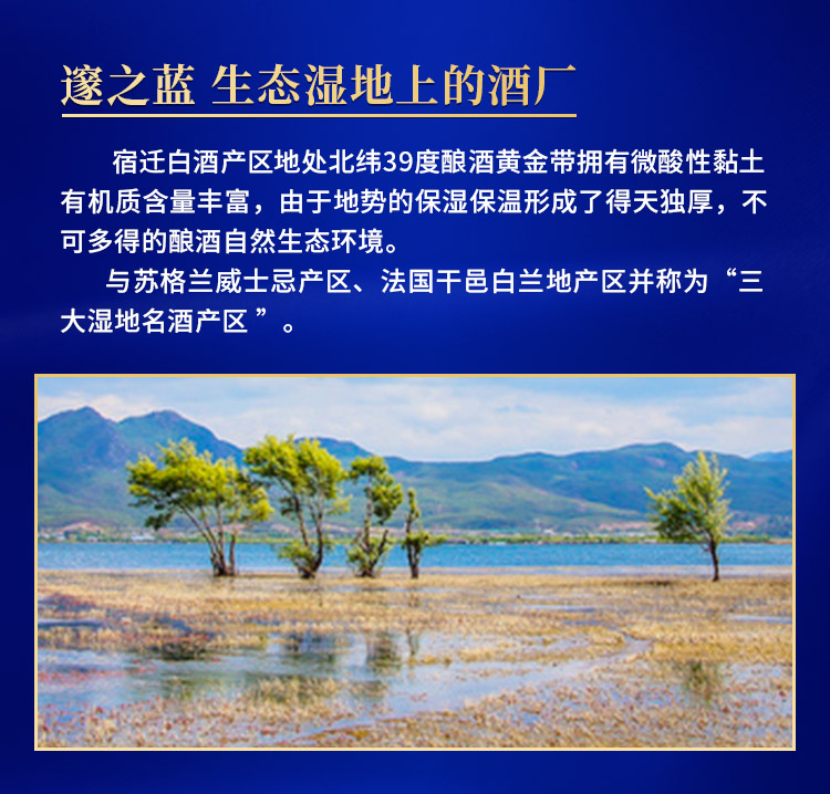 天猫超市 洋河 蓝色经典 邃之蓝 52度 500ml*2瓶 图6