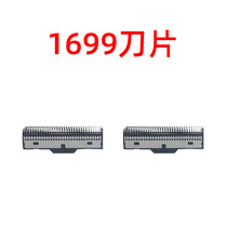 1699 spare tip for 2 piocchian with 2 piocs.