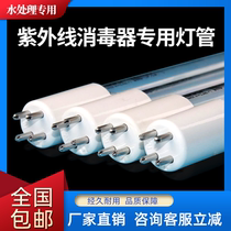 UV lamp single-ended four-pin special lamp for water treatment and sterilization UV sterilizer accessories
