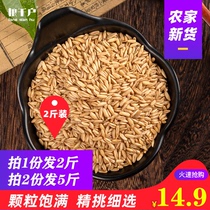  Take 2 servings and send 5 kg of oatmeal rice 500g*2 Oat kernels germ rice five grains miscellaneous farm food oatmeal whole grains oatmeal
