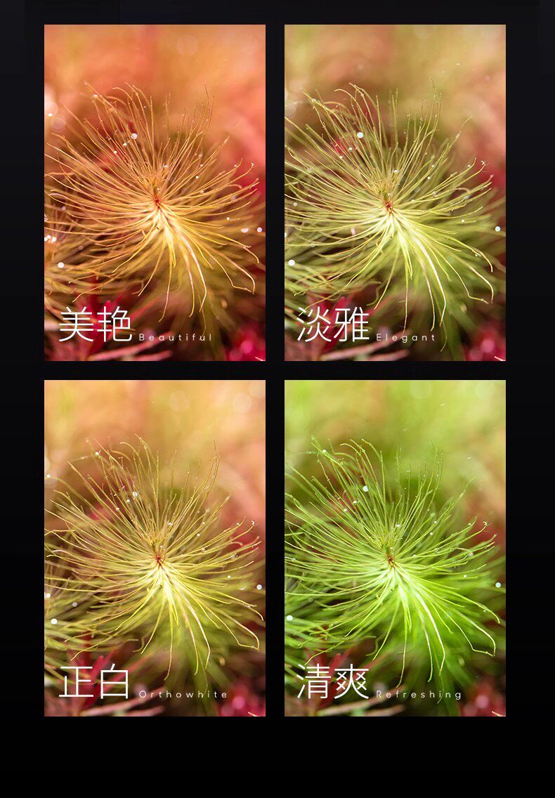 尼特利水草灯AT5S全光谱专业级金鱼爆藻灯溪流缸灯专用植物补光灯 detail 21