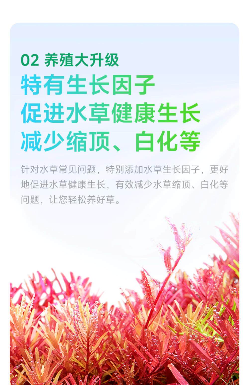 尼特利水草泥鱼缸生态草缸营养土开缸伴侣水草液肥专用水草泥底砂 detail 16