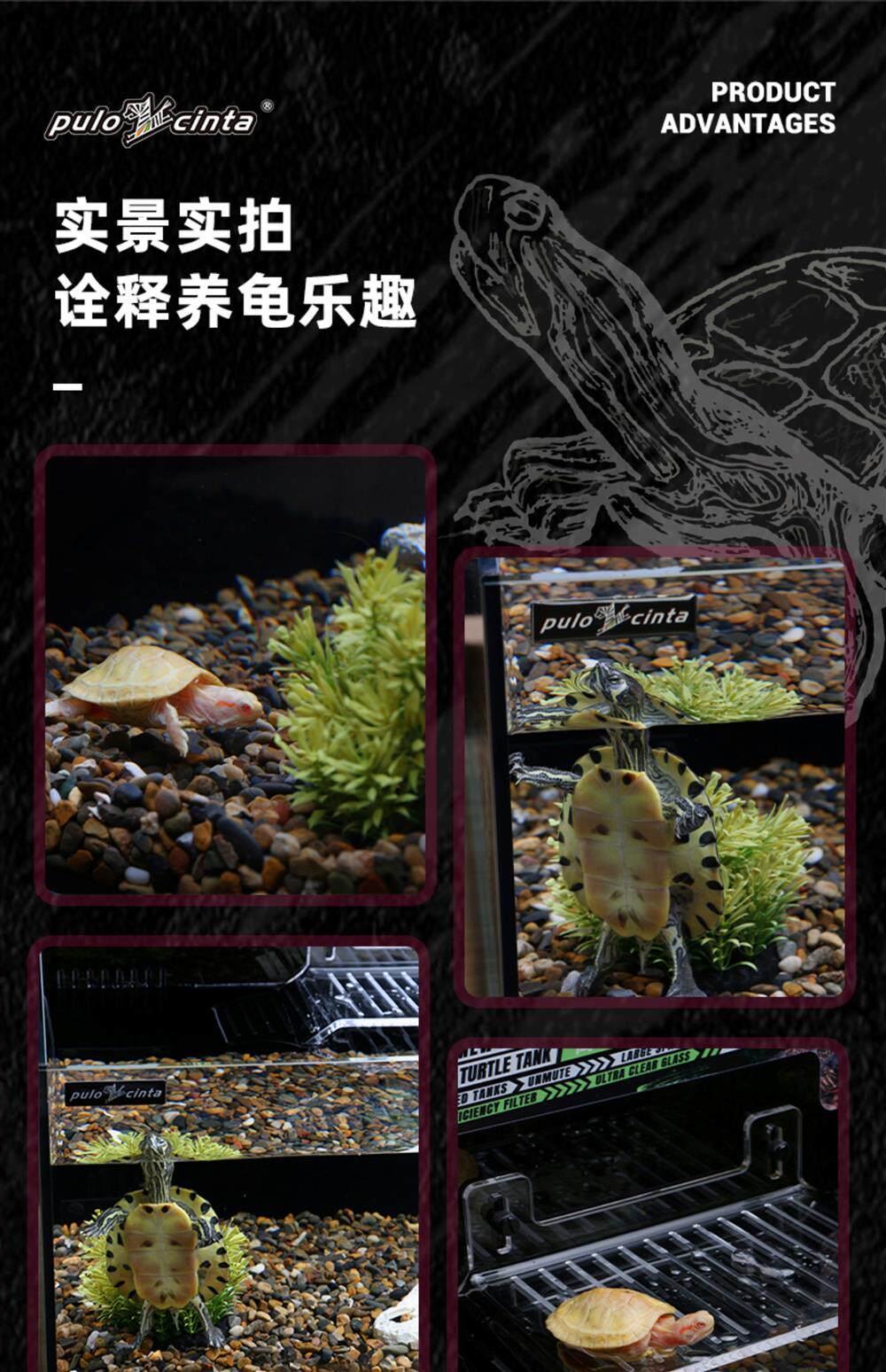 葆易马赫专业龟缸仙巢T5生态龟缸一体过滤专业黄缘龟饲养缸龟别墅 detail 14