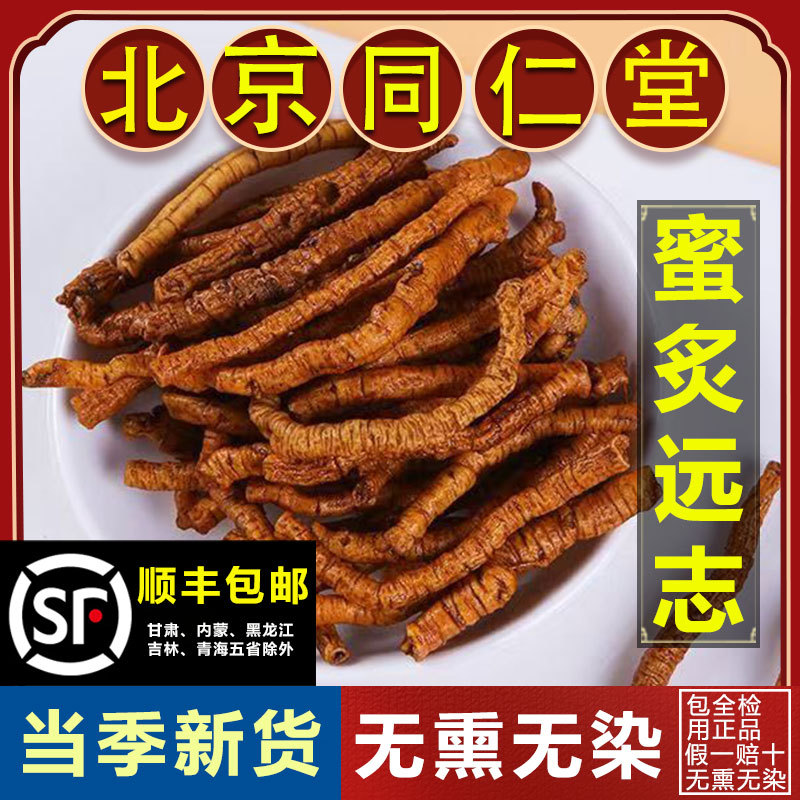 250g of Roasted Farzhi Herbal Medicine, Core-Removed Farzhi Herbal Medicine, Combined with Xinjincǎo and Yizhiren, Used to Make Tea with Farzhi Powder for Drinking