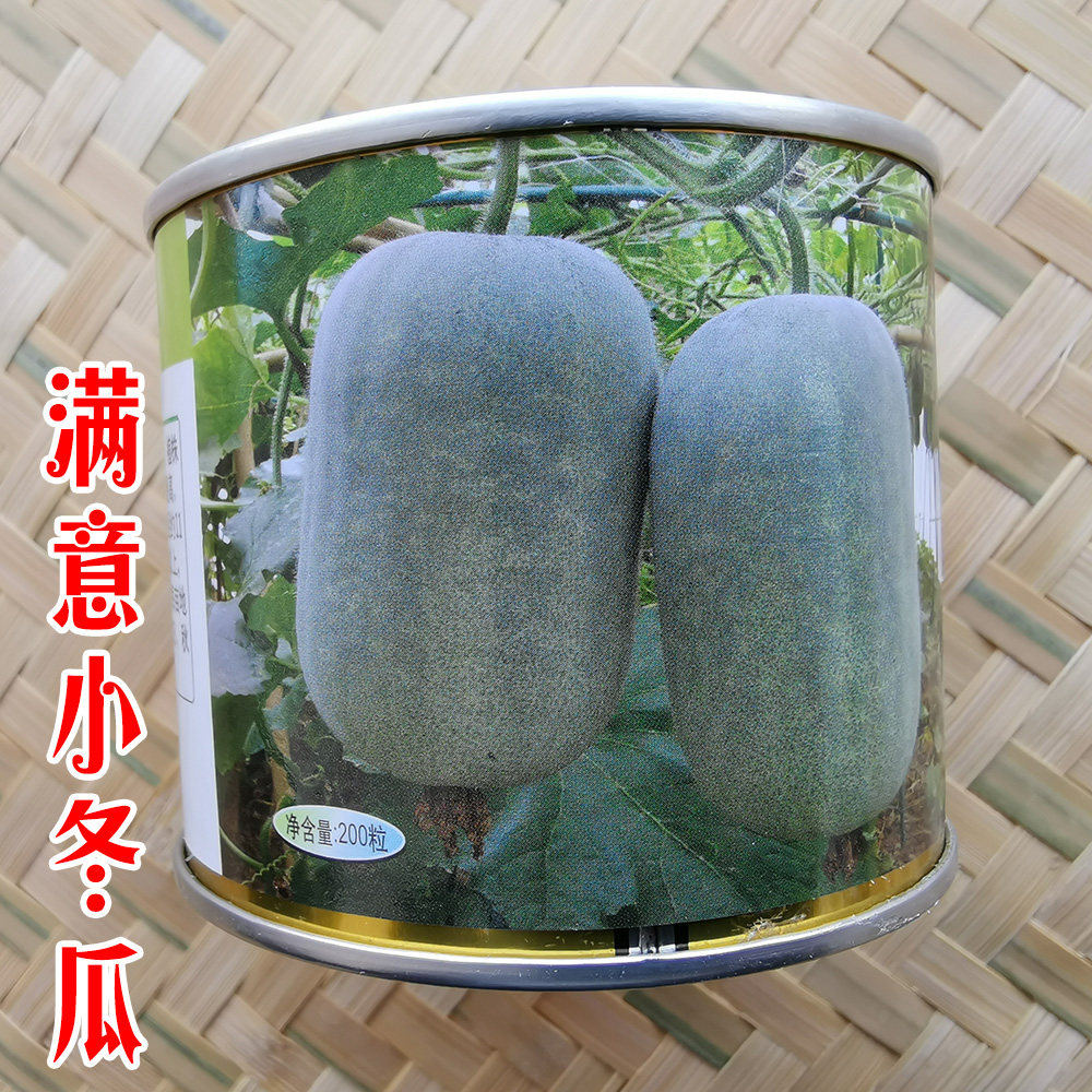 Satisfied with small winter melon seeds a bunch of Ling mini small winter melon seeds vegetable seeds climbing vine fruit spring, summer, autumn and winter