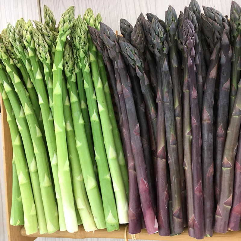 Asparagus seed seed seedlings with soil roots potted purple Four Seasons cultivation of vegetable seed and high yield root seedlings for many years