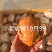 Tiger crab 10 crab crab crab crab crab crab three point crab non - emperor crab 60 - 700g