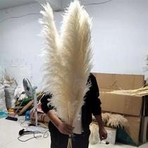 Internet celebrity Pampas natural reed dried flowers real flower pampas grass ornaments ins style wedding floor-standing large spike simulation bouquet