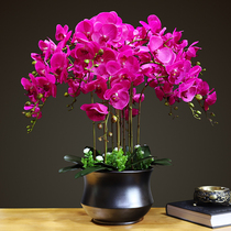 Phalaenopsis simulation flower pot planting set large bouquet living room bonsai ornaments floor-to-ceiling decoration high-end silk flowers fake flowers