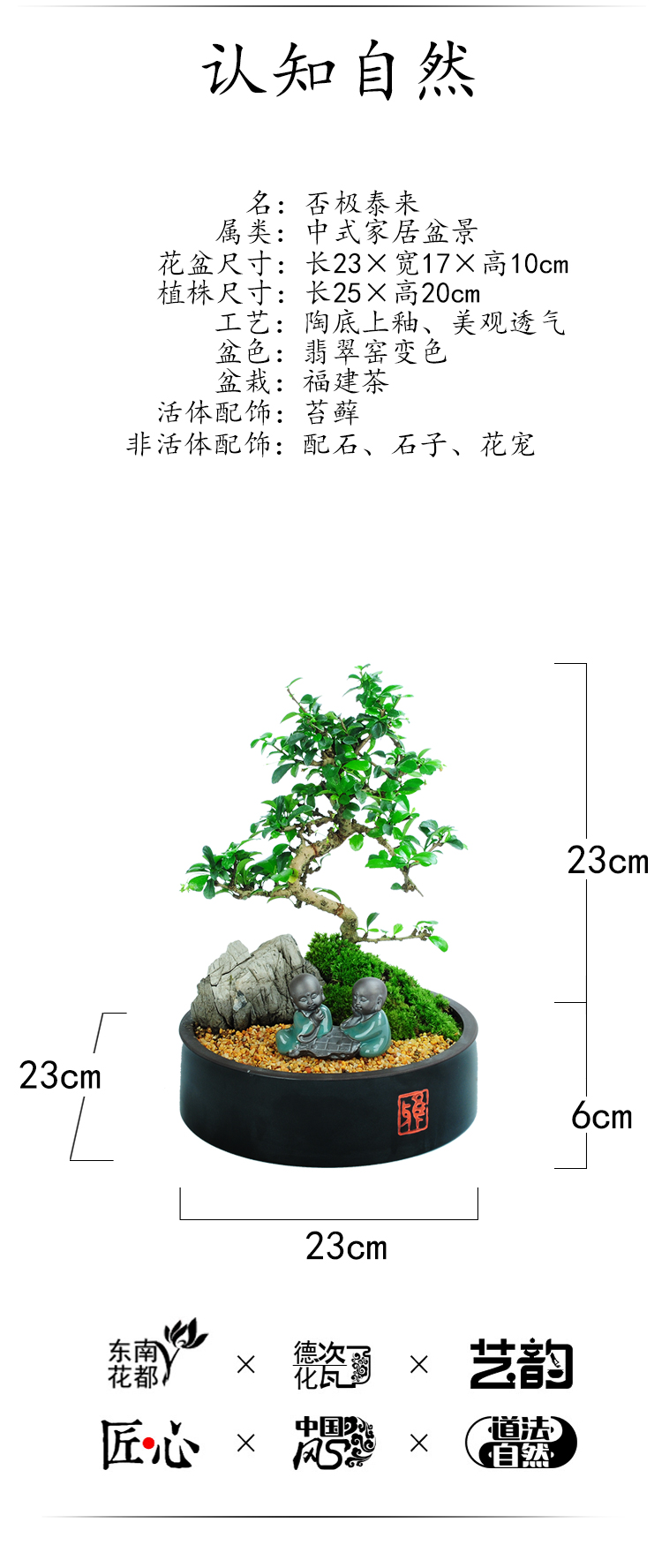 Lobules of fujian tea tray landscape bonsai the plants indoor potted flowers sitting room bedroom evergreen purify air of green plant