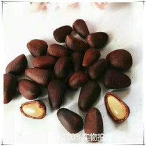 Boiled pine nuts in salt water Russian cedar seeds 2020 new down the hill hand-selected Ow Ow delicious 