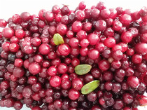 2020 wild cranberry Daxinganling wild frozen cranberry berries in bulk care for women focus on health