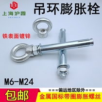 Galvanized national standard iron expansion ring screw extension with garden ring with ring expansion bolt hook hook M6M8M10