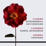 Chanel, горный чай, питательный осветляющий крем, официальный продукт, против морщин