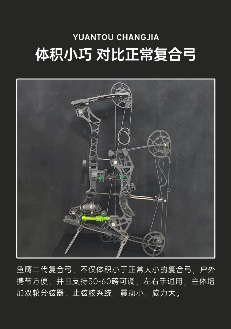 Боу 弓箭复合弓弓箭射箭套装户外滑轮弓射鱼射箭户外运动直拉弓反曲弓 Wang Shi