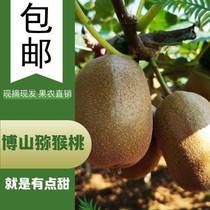 Zibobo Mountain Zhengzong Jade Green Hearts Goodies Peach Gift Boxes Fresh Fruits Should Season Big Fruits 100g More than 20
