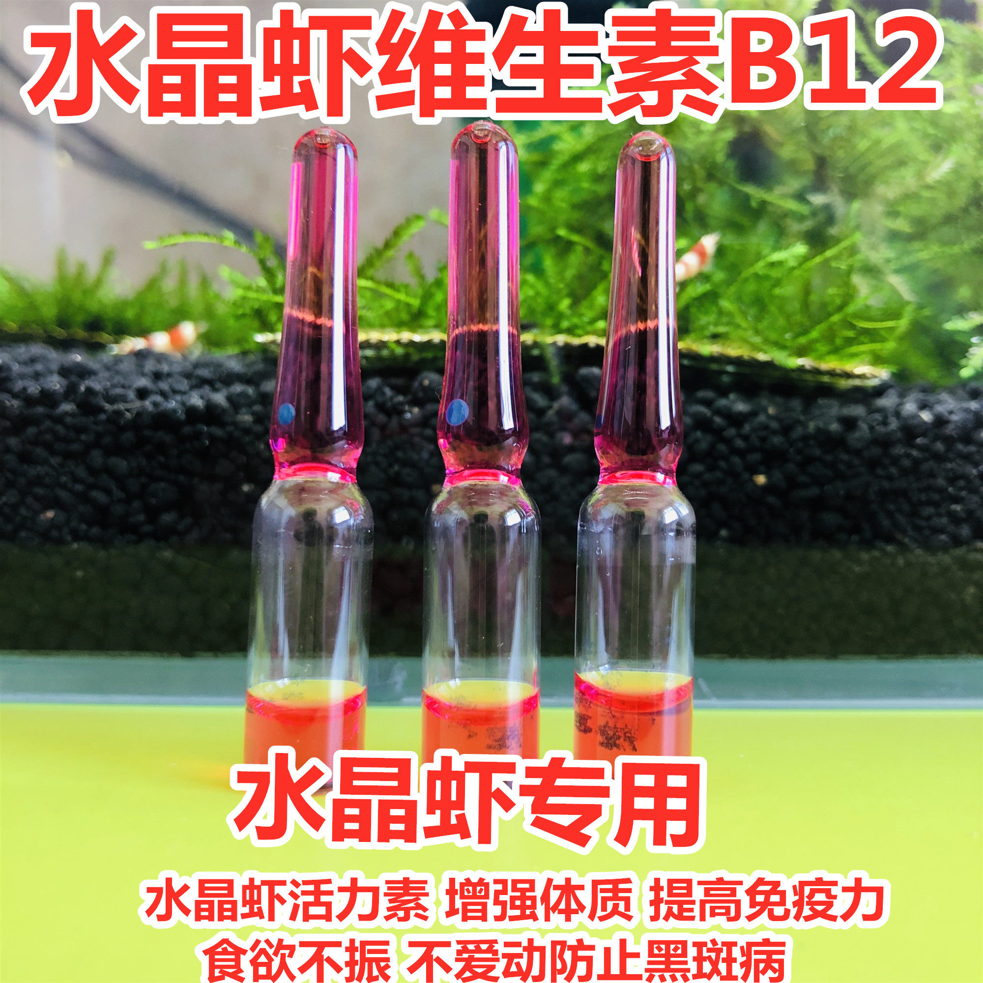 Water group ornamental shrimp crystal shrimp special vitamin B12 improves immunity enhancing food physique growth slow