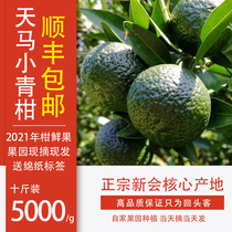  2021 Authentic Xinhui Tangerine fresh fruit Xinhui Tangerine peel Tianma ring branch Tangerine small green Tangerine fresh fruit green peel Guangdong specialty