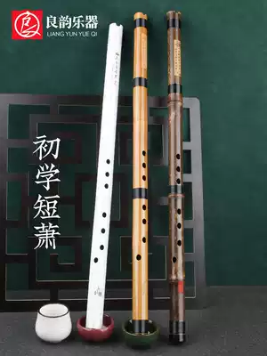 Zizhu Dongxiao professional high-end Dongxiao flute beginner beginner zero-based Xiao musical instrument Short Xiao ancient style eight-hole GF tune