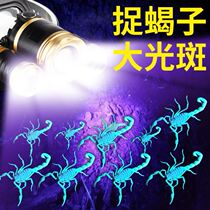 High-power banknote detection Lamp uv ultraviolet detection fluorescent coin identification flashlight strong light scorpion purple anti-counterfeiting lamp