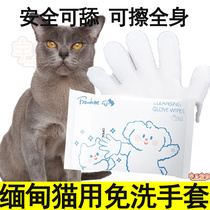 Myanmar cat free from washing gloves bath to oil cleaning pets wet wipes and young adults wipe their mouths to wipe their body
