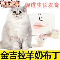 Pet cat gold gira cat special goats milk pudding jelly young cat into cat snacks kittens meme bright hair nourishment