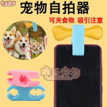 Pet selfier photo Divine Instrumental Clips Can Clip Food Camera Self Beat Bracket Teasing Cat Supplies Toys To See Lens