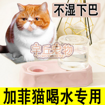 Pet Garfy cat drinking water special flat face drinking water Drinking water dispenser Garfy cat drinking water dispenser not wet chin kitty cat used