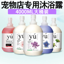 Pet Store Special Body Lotion pooch Bath Teddy Shampoo Big Buckets of 4000ml Pet Shop with Beaumethan Bear