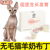 Hairy cat Sfinks special goats milk pudding jelly young cat into cat snacks kittens meme-bright hair nourishment