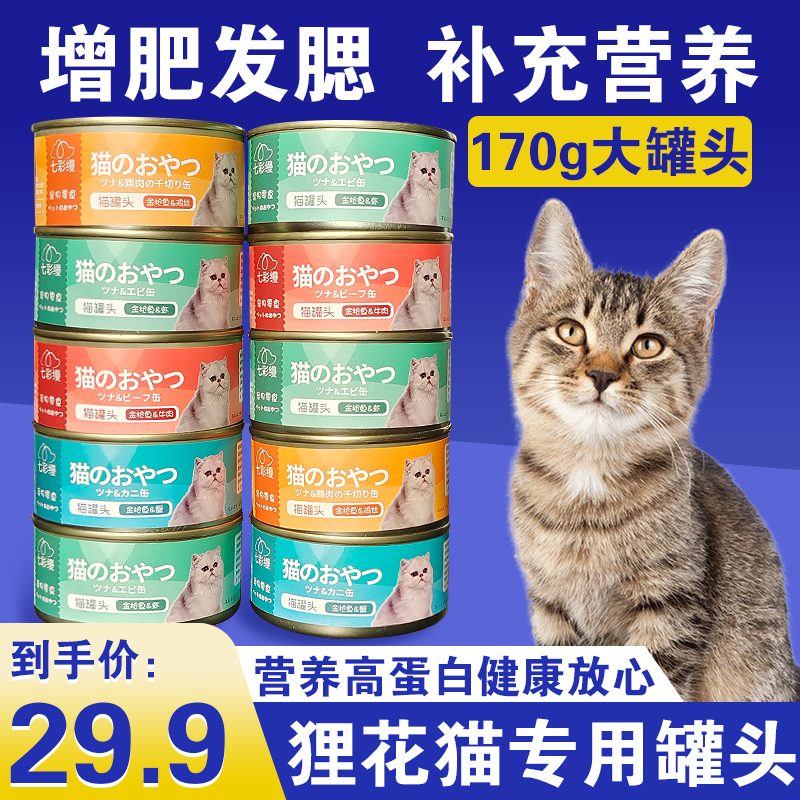 Special Canned Cat Food for Tabby Cats, Pastoral Orange-Flavored Snacks for Kittens, Hydrating and Nutritious Canned Cat Food