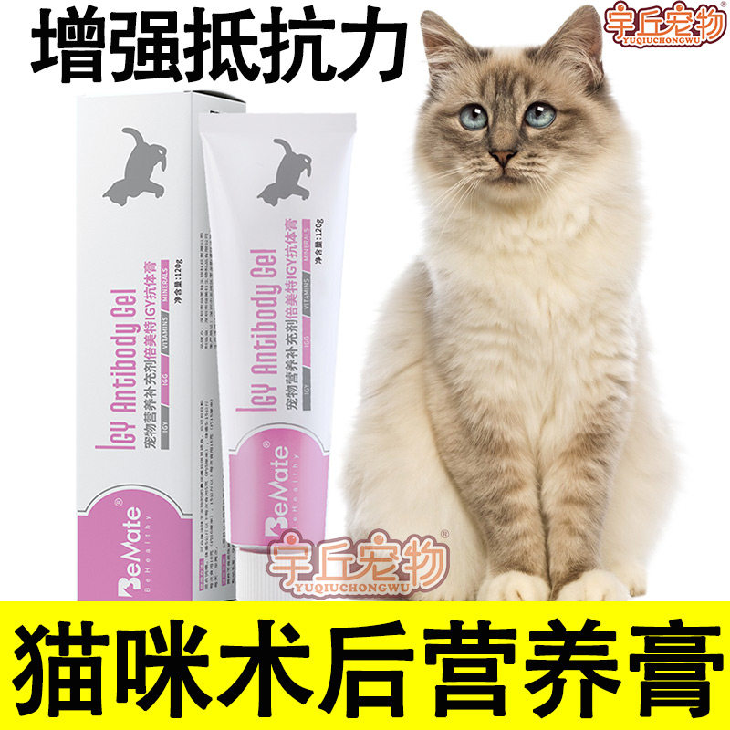 Kitty Postoperative Nutritional Paste Recovery Nutraceutical Nutritional Supplement Cat Neuter After Cat Neuter Cat Surgery