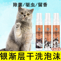 Silver Pering Layer Mosquito Repellent Dry Cleaning Foam Body Lotion Bath Lotion Bath Juvenile Cat Removing bacteria Pregnant Cat Bacteriostatic Functional Kitty