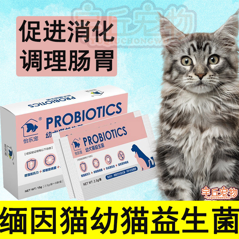 Mese cat young cat with probiotic conditioning gastrointestinal vomiting lathin and soft poo milk cat constipation pull diarrhea