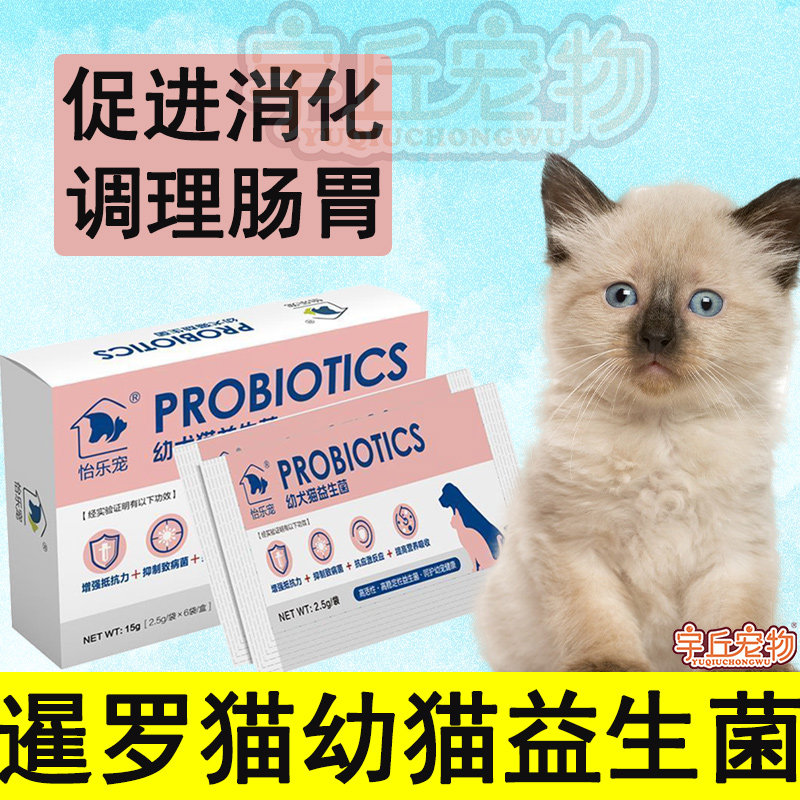 Thai cat young cat with probiotic conditioning gastrointestinal vomiting lathin and soft poop milk cat constipation pull tummy digestion