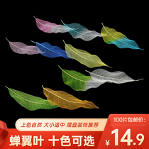 Amazon cicada wing leaves multi-color optional plate decoration embellishment creative plate recommended leaf cold art decoration plate Chinese pan head