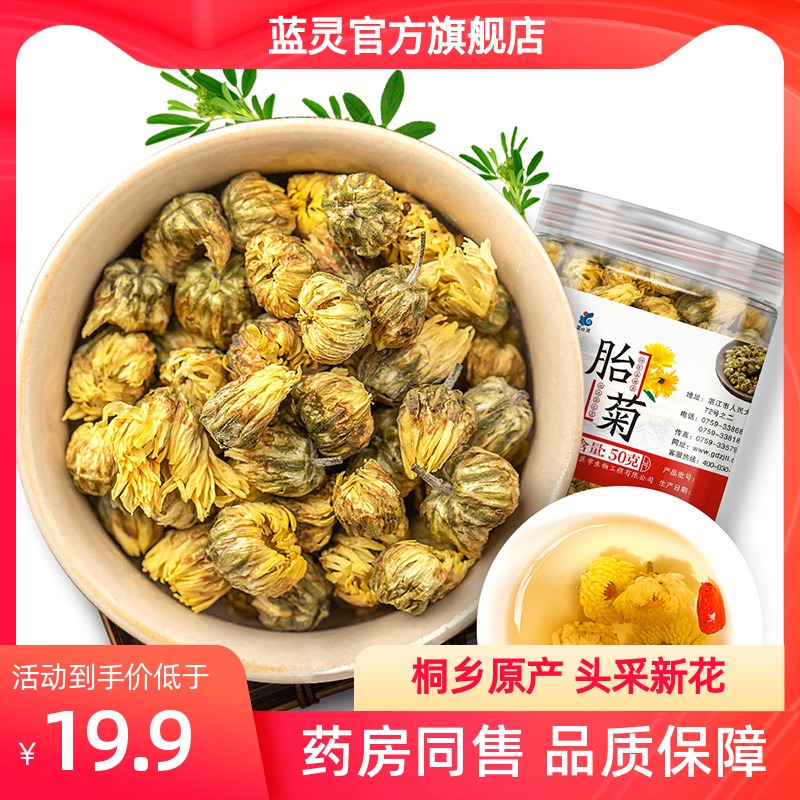 Blue Spirit Chrysanthemum Flowers Tea Leaves Tung Xiang Kiju Chamomile Kiju King Bulk Can Hitchberry Red Date Rose Honeysuckle Tea