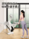 Dynamic Exercise Bike for Home Use, Fitness Equipment for Gym Rooms, Indoor Weight Loss, Professional Aerobic Exercise Bike