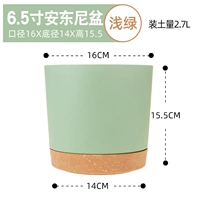 Энтони цветочный горшок -6,5 дюйма светло -зеленый