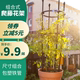 ປີນຂຶ້ນດອກໄມ້ຢືນສວນສະຫນັບສະຫນູນ stand balcony rose clematis vine plant potted climbing support rod stand