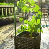 Новый H -образный и широкий балконный посадка овощных посадков для садоводства.