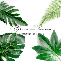 Minimalist wind ins wind Korean simulation leaves and plants take pictures Photography background beauty accessories swing props