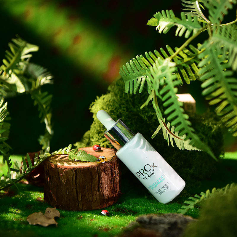 Forest-Style Moss Bark Set, Natural Products, Photo Props, Beauty Photography Scene Setup, Decorative Ornaments, Grass Turf, Moss Still Life Photography, Micro Forest Scene Setup Forest-Style Moss Bark Set, Natural Products, Photo Props, Beauty Photography Scene Setup, Decorative Ornaments, Grass Turf, Moss Still Life Photography, Micro Forest Scene Setup