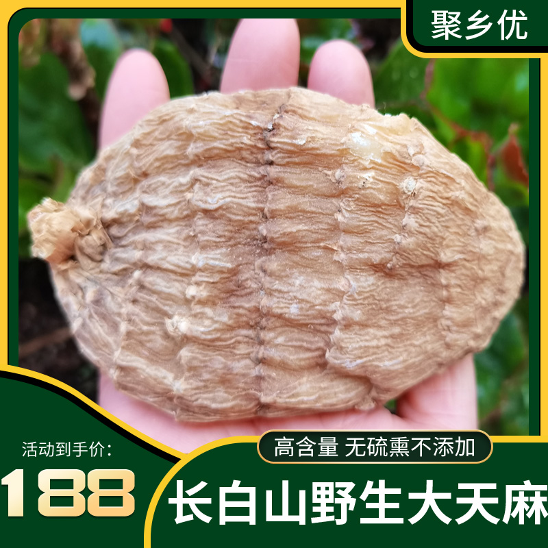 Northeast Changbai Mountain Wild Gastrodia Premium Dry Goods 250g Handmade Fine Pickable Wine Soup and Congee