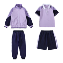 幼儿园园服春秋季英伦学院风小学生班服特级版运动礼服毕业照校服